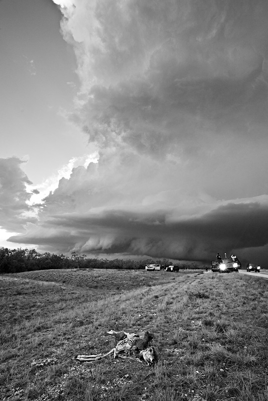 deer,supercell,Sterling City,texas,supercell
