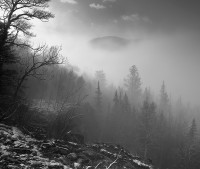 Alpine Fog #231