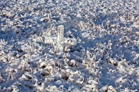 Assumption Cross