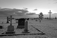 Crosses