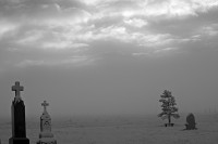 Cold and Alone