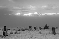 SIlver Cliff Remembers II