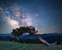 The Ancients