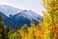 Collegiate Fall