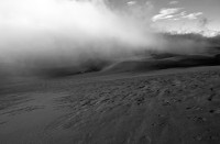 Fog in Black and White