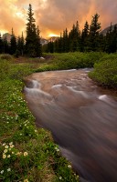 Indian Peaks, Colorado, creek, sunset, flowers, river, clouds, Lake Isabelle