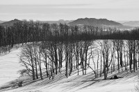 Winter 24