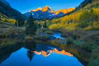 Maroon Reflections