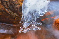 Ice sculptures