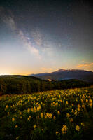 Rampart Range,Woodland Park,Milky Way,moonlight,night,wildflowers,colorado,Pikes Peak