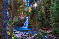 Enchanted Forest