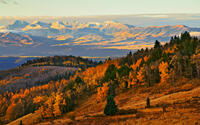 Fall in the Wets