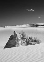 White Sands #379