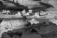 Bisti B&W