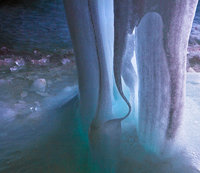 Ice Warp