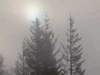 Sun and Fog