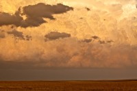 Moderate Instability