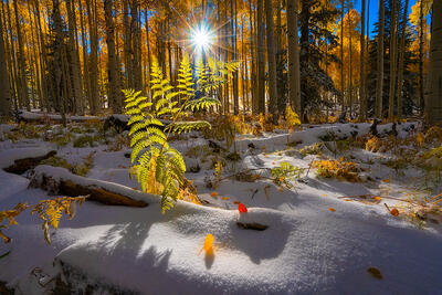 Grand Prize in Arizona Highways 2024 Contest!