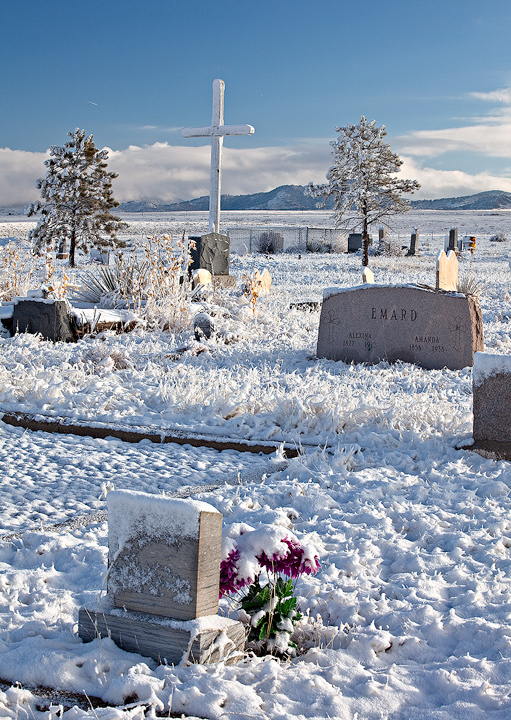 The flowers laid by gravesites were a striking contrast to the bright white of the fresh snow.