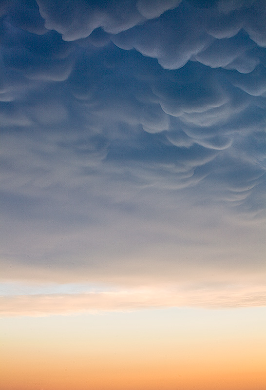 Mammatus clouds at sunset.
