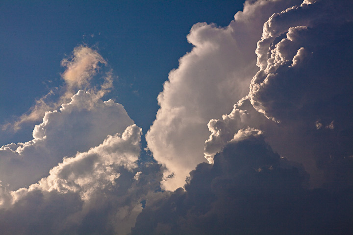 Cauliflower Clouds Strong updrafts cause towering thunderstorms to take on a strikig appearance.