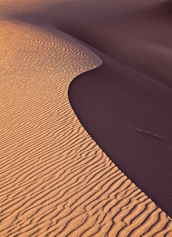 Curves on a dune crest.
