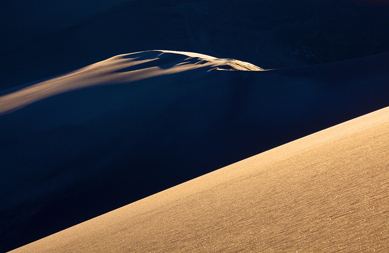 Light and Shadow in the Dunes.