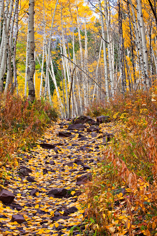 A look at the trail up towards West Maroon, Maroon Bells, Snowmass Wilderness.