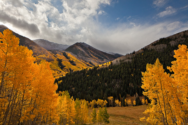 The morning light was terrific in the Maroon valley--where the aspen are second to none!