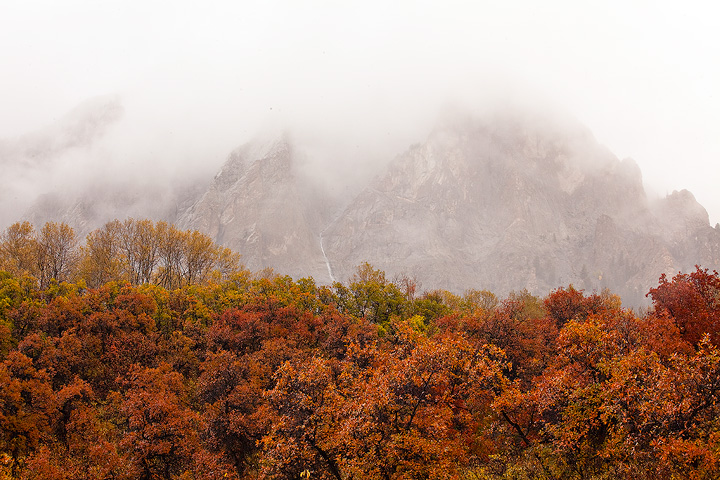 Marcellina Mountain in its foggy glory.