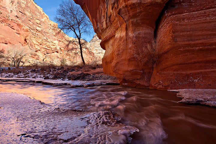 Fremont River bend in January, Capitol Reef.