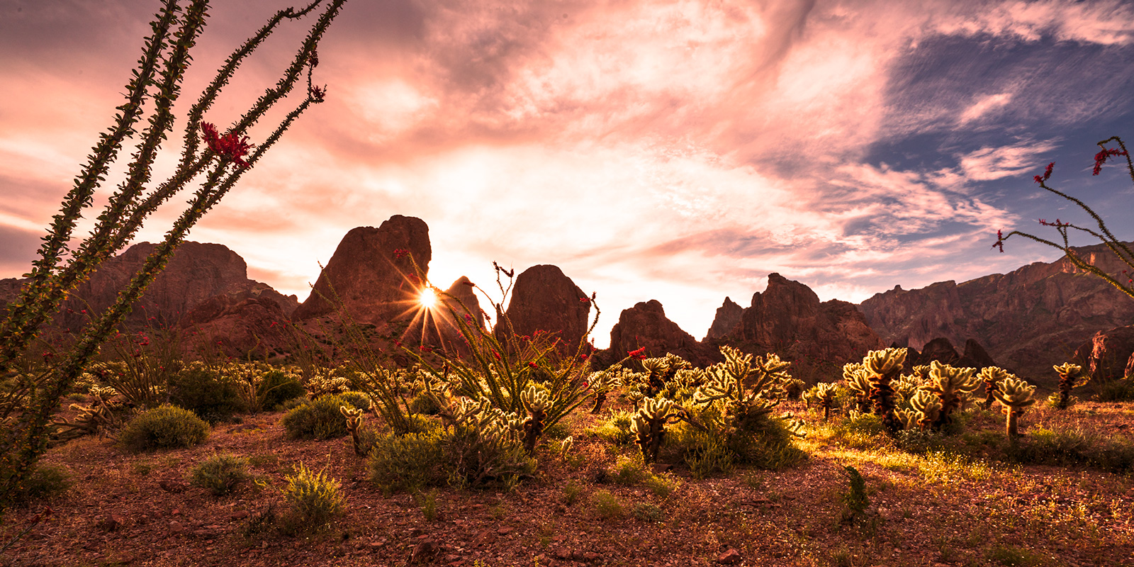 Early morning in the Kofa Mountains of southeast Arizona