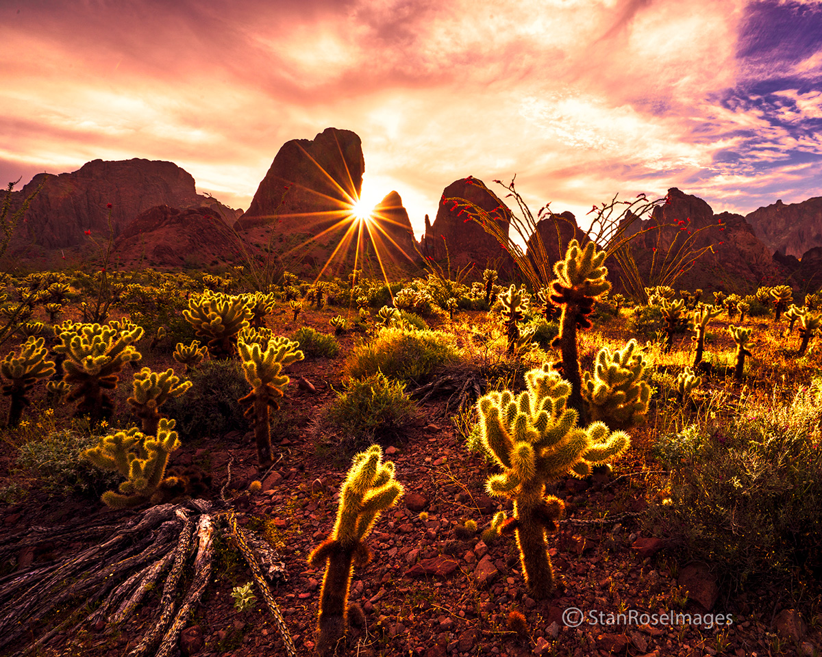 Shortly after sunrise in the Kofa Mountains of southeast Arizona,