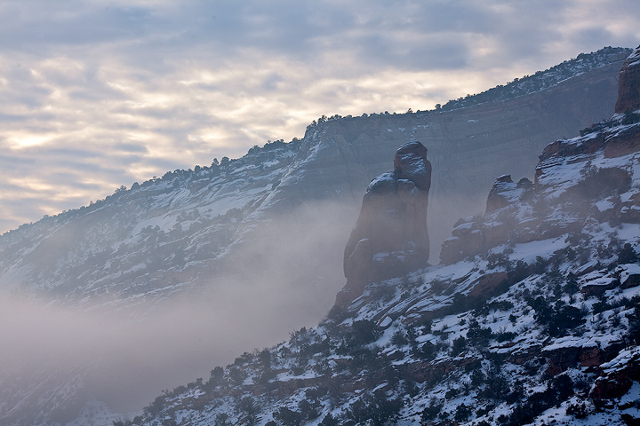 Morning fog creeps up the canyon walls.