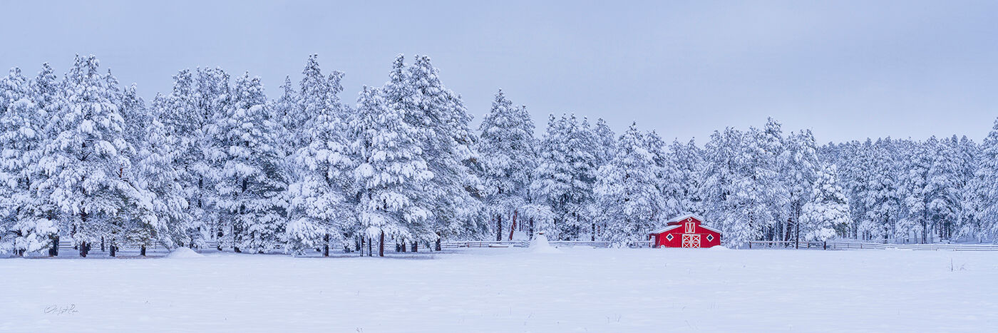 Red barn and snow near Flagstaff the morning after a foot of snow fell.