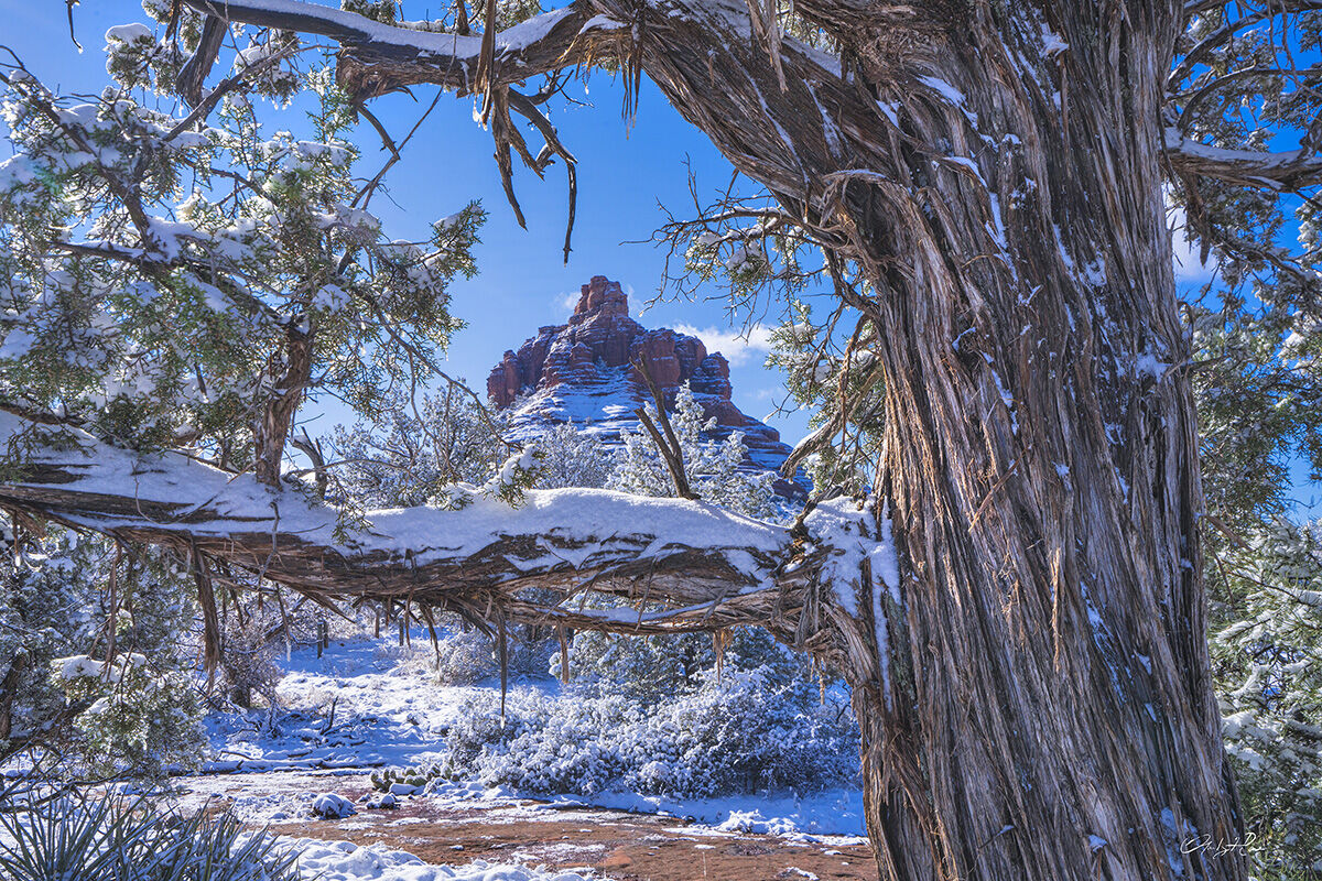 The only real snowfall in the 2021-22 season for Sedona, but it made for beautiful scenes like this one at Bell Rock.