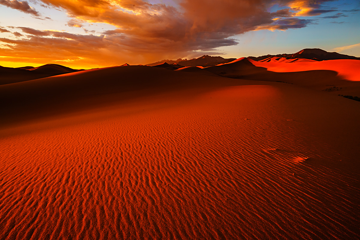 Intense colors at sunset in the dunes.
