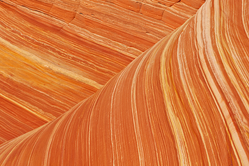 Wave abstract, N Coyote Buttes.
