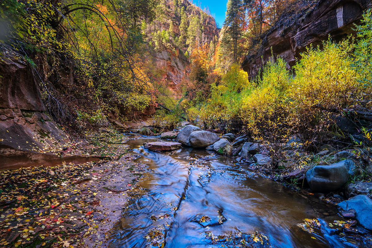 Mix of autumn colors along the West Fork Trail in October