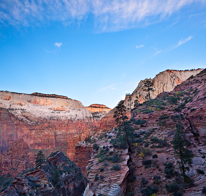 Zion Canyon from the East RIm Trail at sunrise.