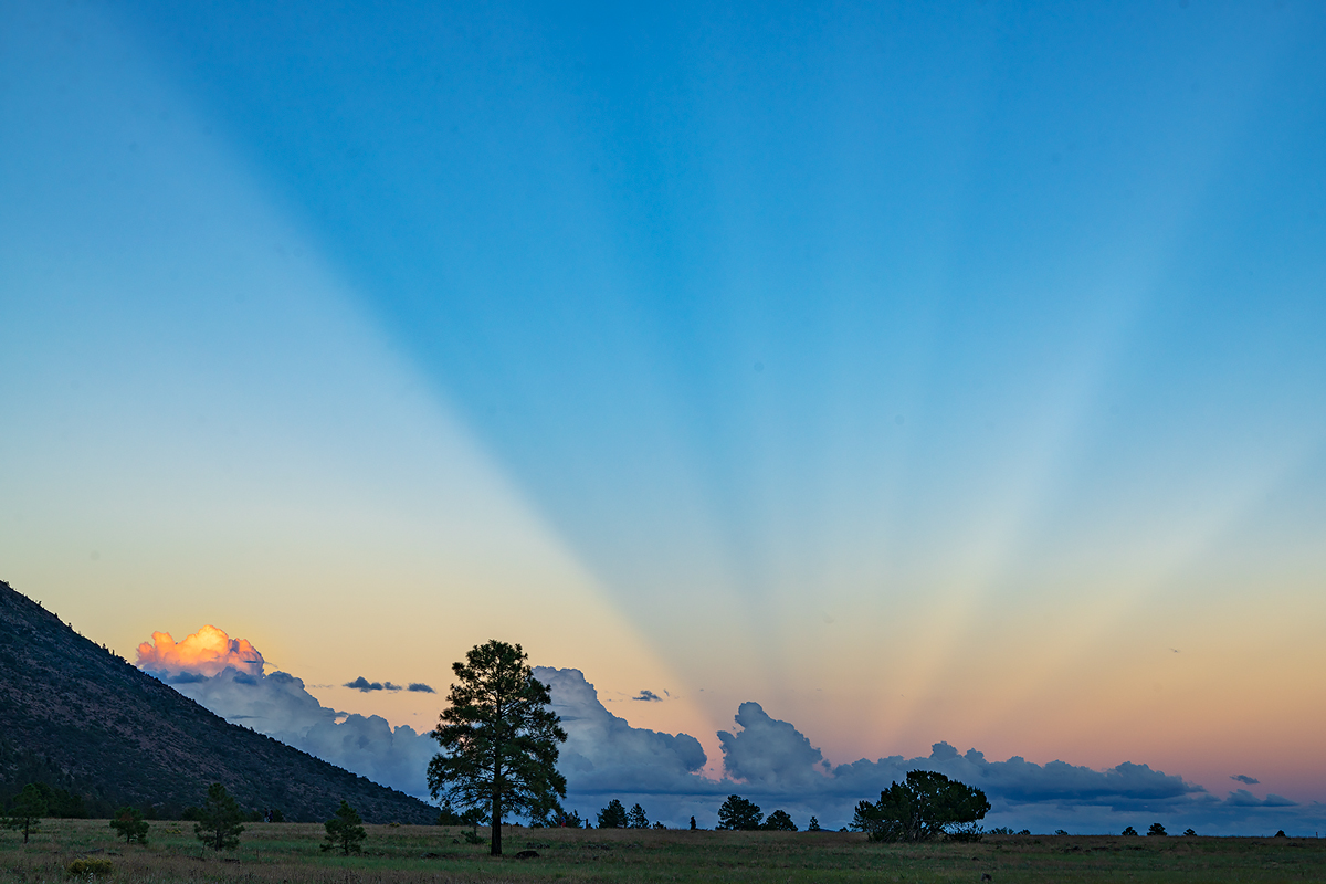 Anti-crepuscular rays of sunlight at Buffalo Park in Flagstaff at sunset.