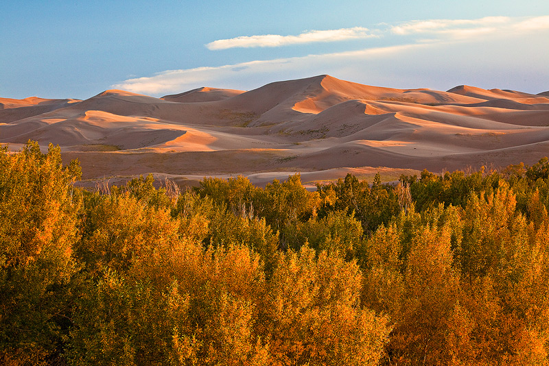Autumn colors on the west side of the dune field.