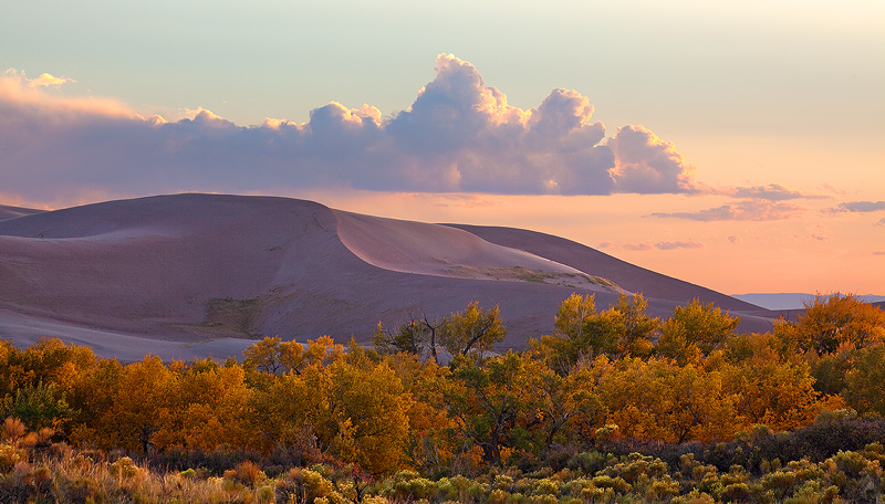 Autumn colors on the west side of the dune field.