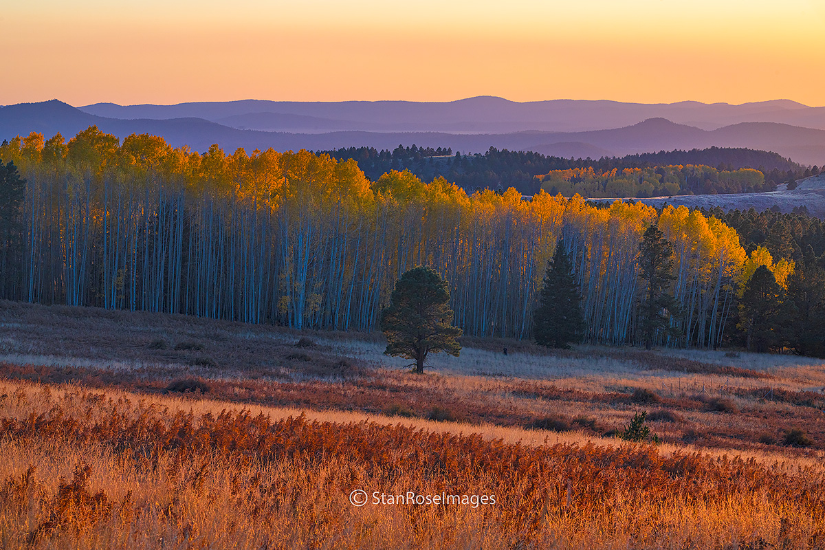 Sunset from Hart Prairie in Autumn, north of Flagstaff.