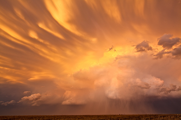 Amazing mammatus display at sunset, with distant storm still dropping streaks of hail.