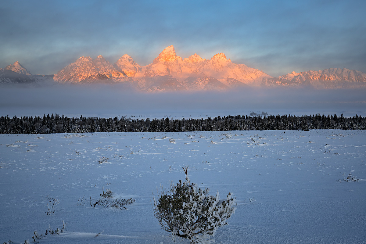 Tetons emerge from the fog at sunrise on a minus 24 degree morning.