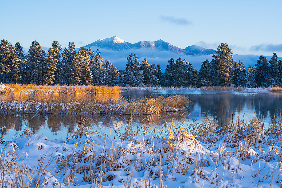 Shortly after sunrise in the Kachina Wetlands south of Flagstaff after a snowfall.